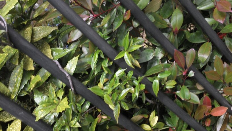 ladonna952's profile picture. Im a business women.   retired  visual arts agent.  photographer and ex model.