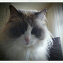 bill neill - @billneill007 - Twitter