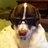 ChristiMarkham's profile image