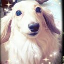 愛弓 (@0807Lavey) Twitter