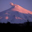 Chasing Winter Prod. - @ChaseWinter - Twitter