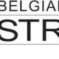 BelgianStrokeCouncil(@BelgianStrokeCo) 's Twitter Profile Photo