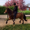 thor holm lauridsen - @HolmThor - Twitter