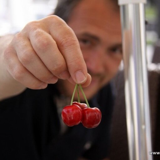 GDispensa's profile picture. 