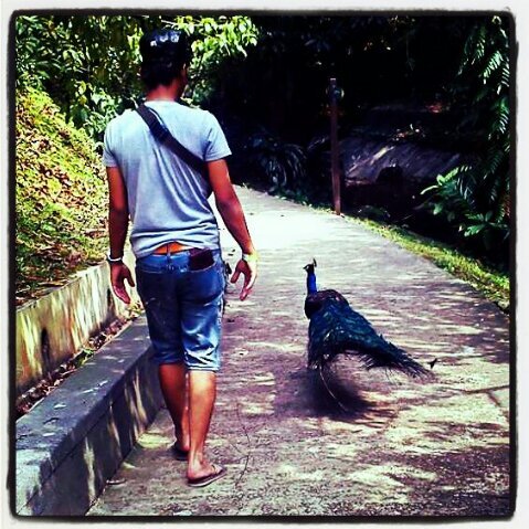 ikbal_ebal's profile picture. 