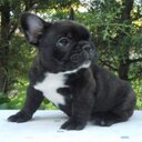 Tami Diaz - @tamaradiaz78 - Twitter