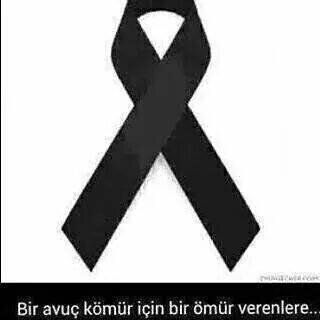 ademcanbirdal's profile picture. 