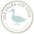 The Polka Dot Duck