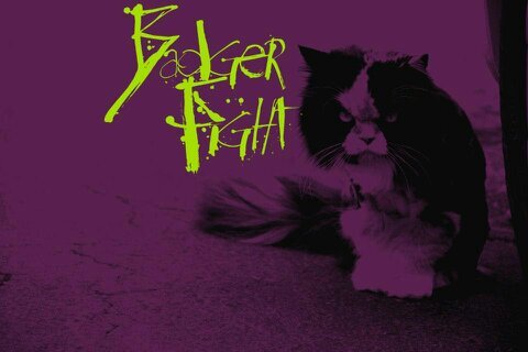 badgerfight's profile picture. altcore/metal band from Morgantown, WV