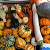 Portobello Rd Market (@portobello2020) 's Twitter Profile