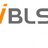 NetBizLawServices
