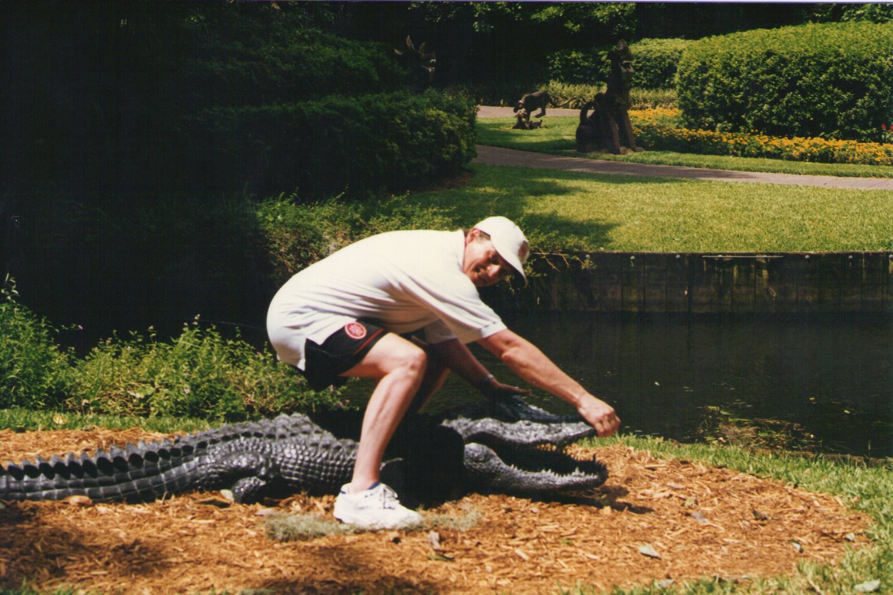 BrightonDennis's profile picture. Husband of 1 (39 years) Father of 3, Grandfather of 2 and the other love of my 62 years is Liverpool FC