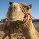 Stephen Tunstall - @StephenTunstall - Twitter