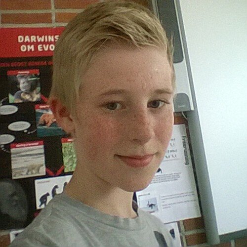 Add: EmilTheAssassin on ps3 or ps4 to game with me. Iam playing bf4, NFS Rivals, GTA 5, morden warfare 2 and 3, bf3 and more or OpTic_OneSeveN for bo2