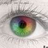 tudosifororo's profile image