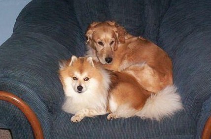 sharoncanter's profile picture. 