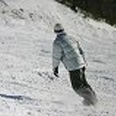 ブラックティーズウェブサイエンス