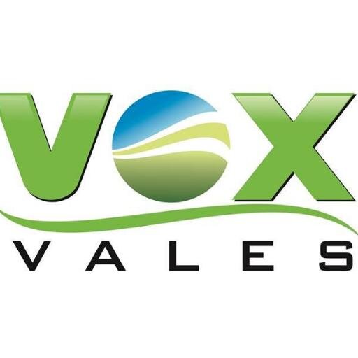 VoxVales's profile picture. 