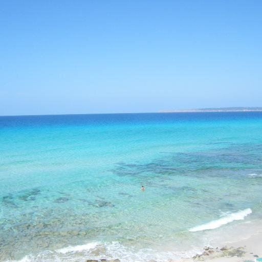 svillelia's profile picture. 