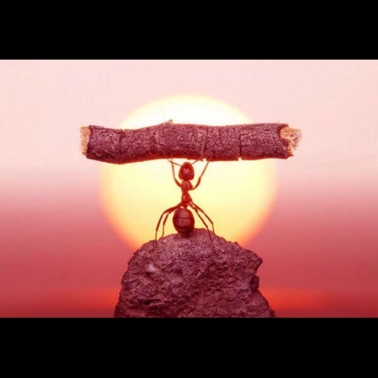 StephenManser's profile picture. 