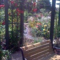 Abbey Physic Garden (@abbeyphysic) 's Twitter Profile
