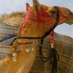 #oman★☆