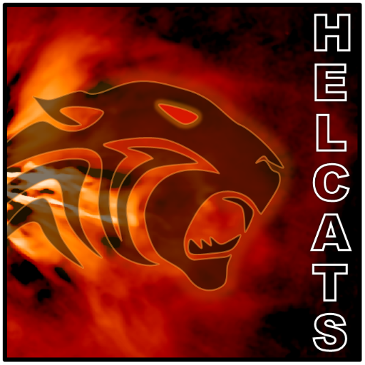 The EU HELCATS project provides an unprecedented focus for world-leading expertise in the novel and revolutionary field of Heliospheric Imaging.