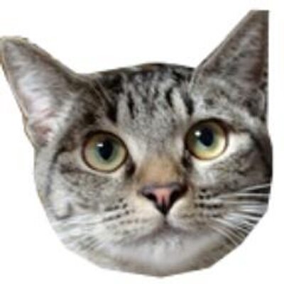 人と猫の共生を図る対策会議 Hitotoneko Hitoneko22 Twitter