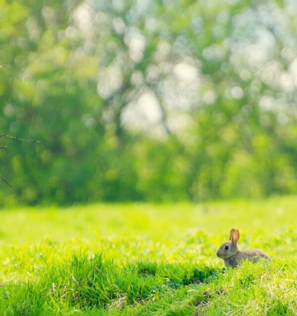 zs_asch's profile picture. Let's live in harmony!