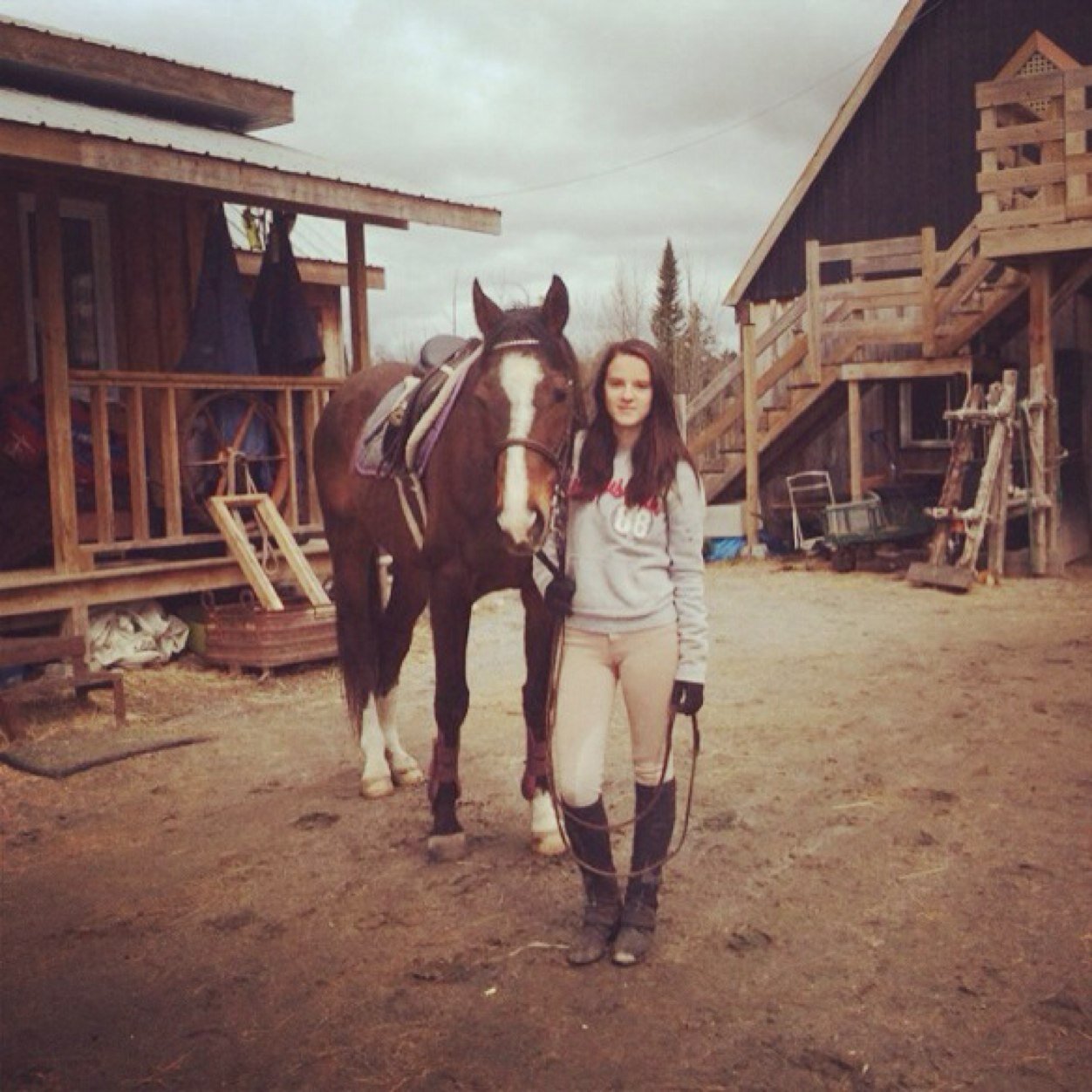 My horses are everything to me, basketball 3 Longborading all day, follow me and ill follow back :*