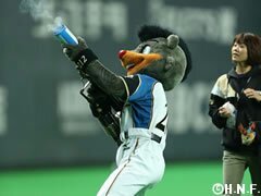 ☆初めまして、ヨコテンと言います、趣味はプロ野球観戦で特に日本ハムファイターズのファンです、宜しくお願いします。