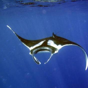 PaulNol20977339's profile picture. 