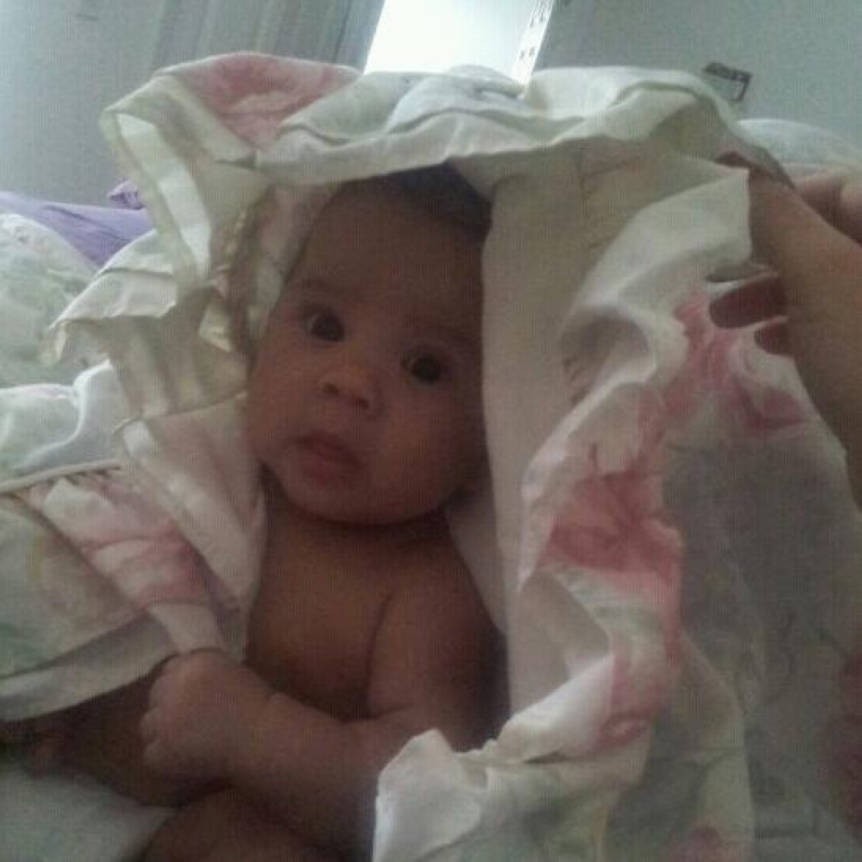 ApalmoHo's profile picture. Esto es lo mas bello de tia merly se llama bebe liam