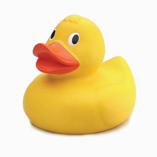 Ponteland Rotary Club Duck Race, Sunday 4th September 2016, Ponteland Park. Fun for all the family. Follow us for news and the latest updates