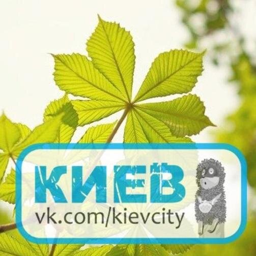 kievcityvk's profile picture. Все о Киеве и не только!