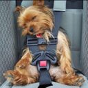 Jack Smack - @_jacksmack - Twitter