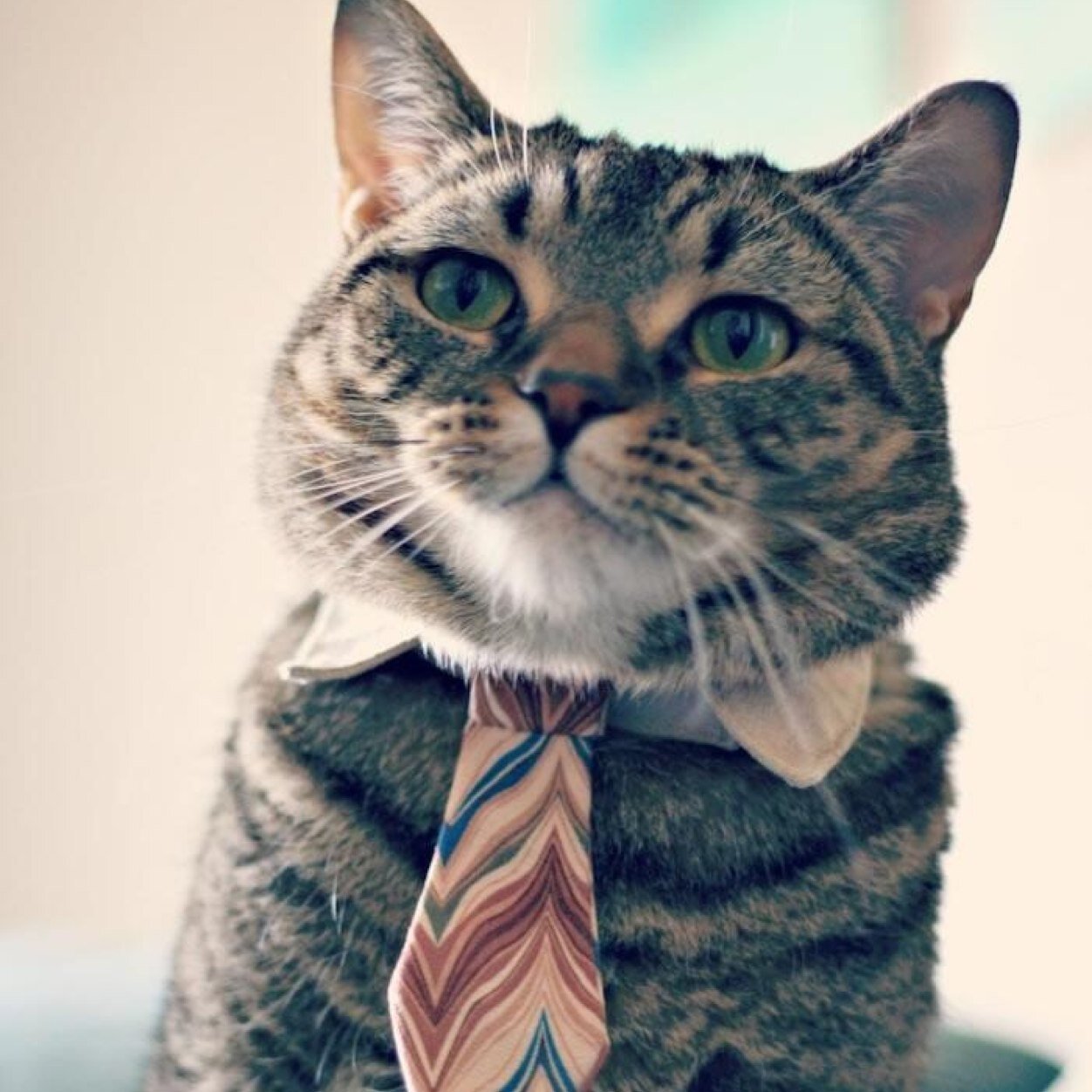 fake5100_4's profile picture. ド三流