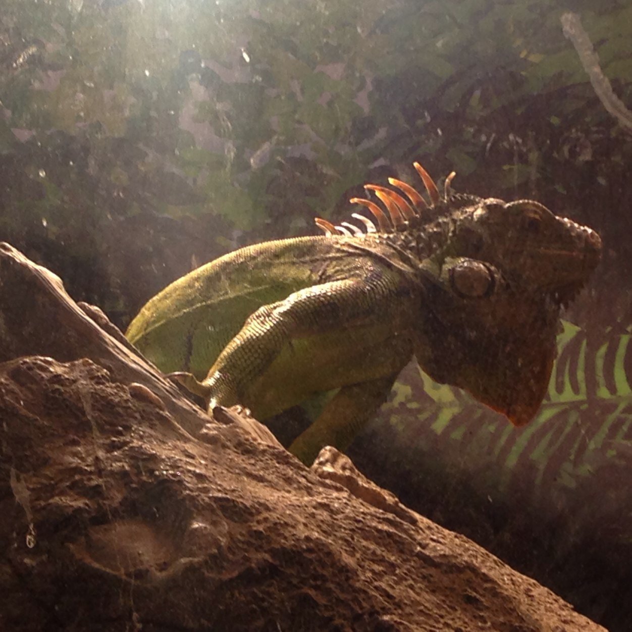 yousuke0000313's profile picture. 