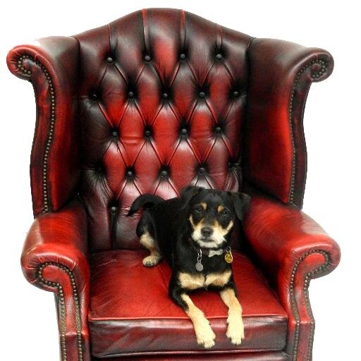 Vibrant Auction House located in Glasgow with regular sales of Fine Antiques & Collectables.