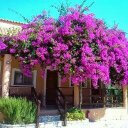 Eva Davidson - @evadav48 - Twitter