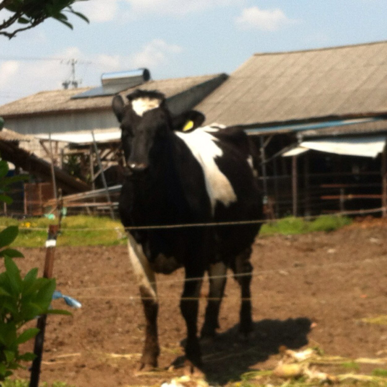 tnttak's profile picture. 気がつけば年女プラス1。すこしだけ儲けたいという欲望アリ。