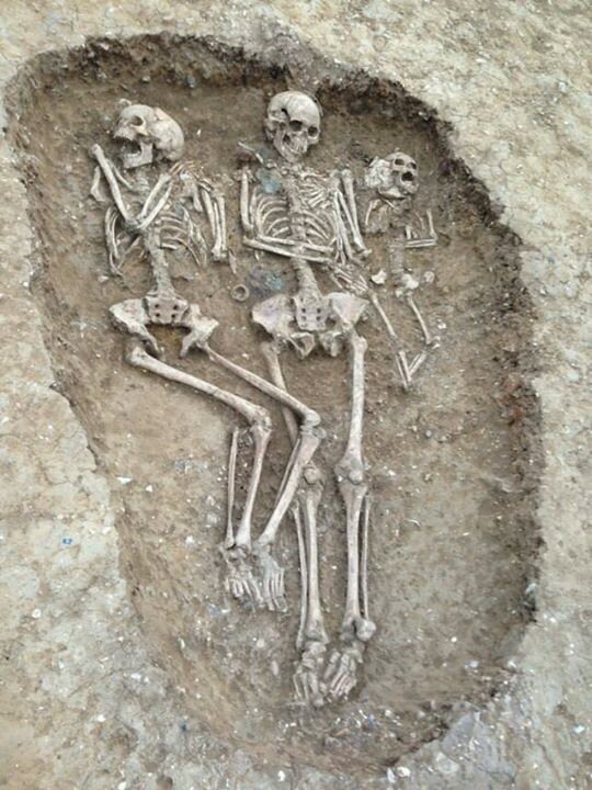 @oakingtondig