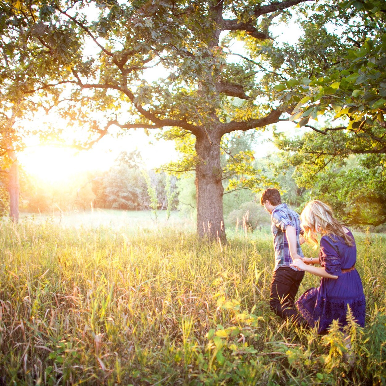 ABarkules's profile picture. 