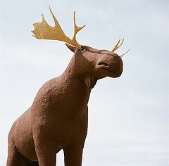 I'm 32 feet tall and weigh 10 tons, it's all muscle!