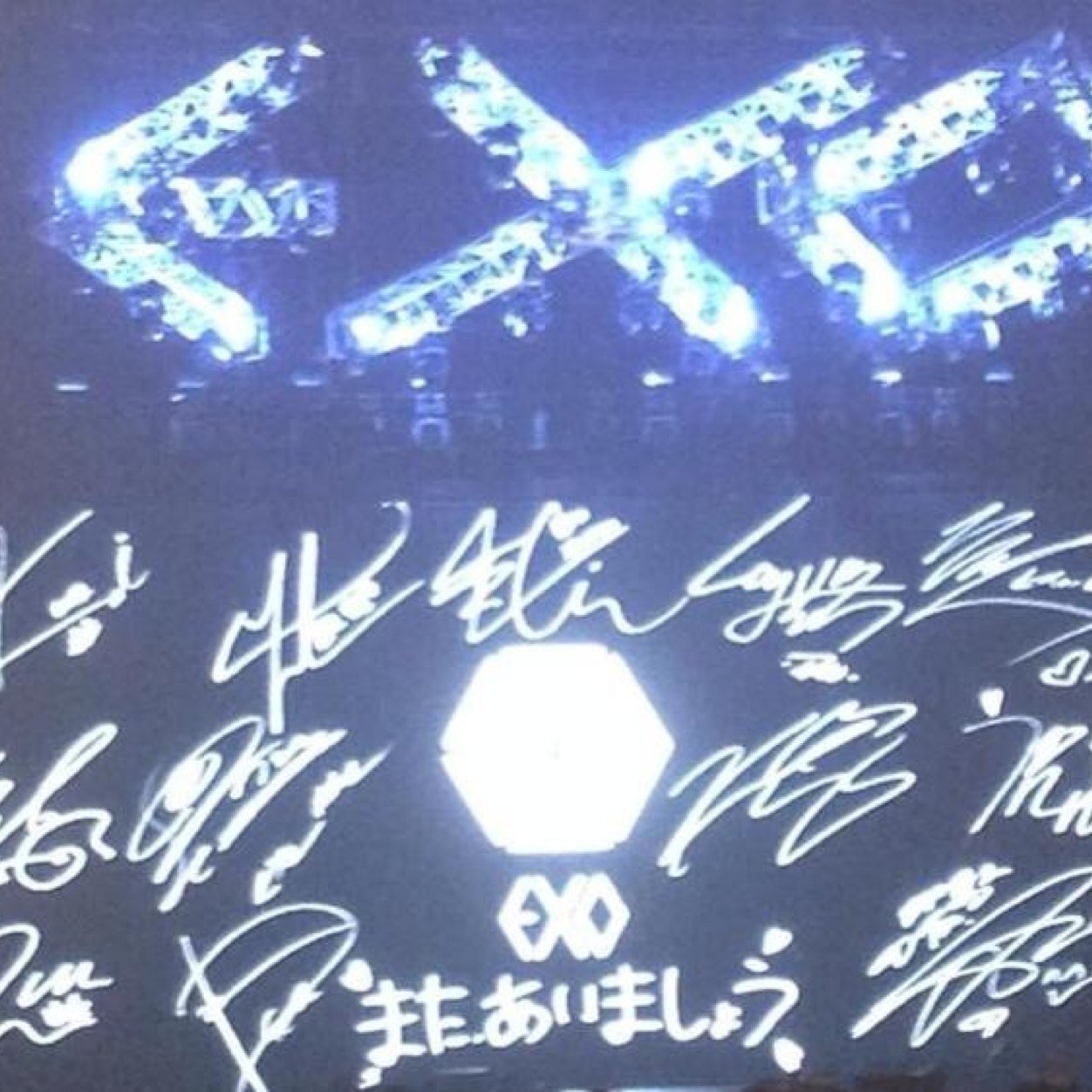 exoxo