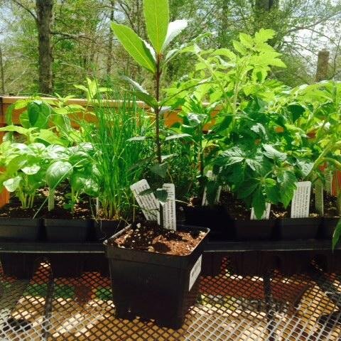 G0Y00k's profile picture. Social Impact.
Social Sustainability.