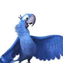 KevinWang_ks's profile picture. 