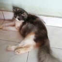 nurmelati 75 (@0124891080) Twitter