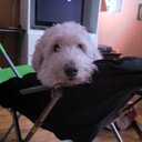 Beth McVeigh - @BusyMcVeighs - Twitter