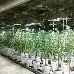 Livinwhereits's profile picture. 